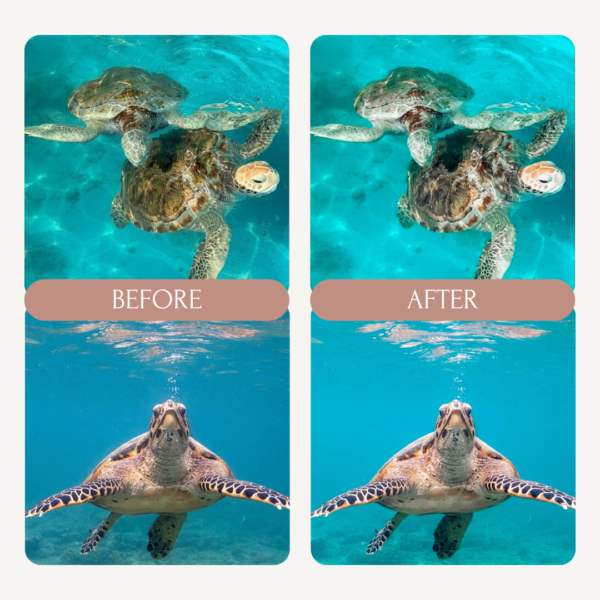 Hawaii Premium Preset - Image 2